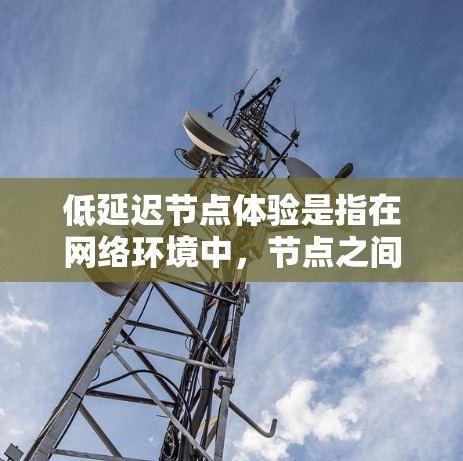 低延迟节点体验是指在网络环境中，节点之间的连接速度快，数据传输延迟低，从而提升用户的整体体验。以下是对这一概念的详细分析和总结