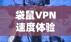 袋鼠VPN速度体验测评,实测体验与优化建议 袋鼠VPN速度体验测评,实测体验与优化建议