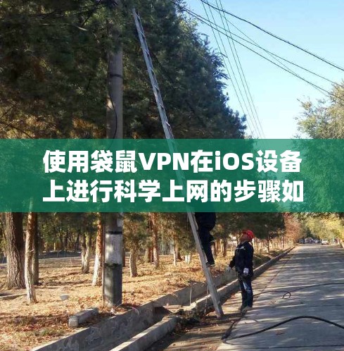 使用袋鼠VPN在iOS设备上进行科学上网的步骤如下