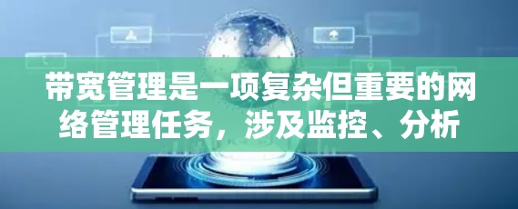 带宽管理是一项复杂但重要的网络管理任务,涉及监控、分析和优化网络带宽,以确保高效利用资源。以下是带宽管理工具的详细分析和总结 带宽管理是一项复杂但重要的网络管理任务,涉及监控、分析和优化网络带宽,以确保高效利用资源。以下是带宽管理工具的详细分析和总结