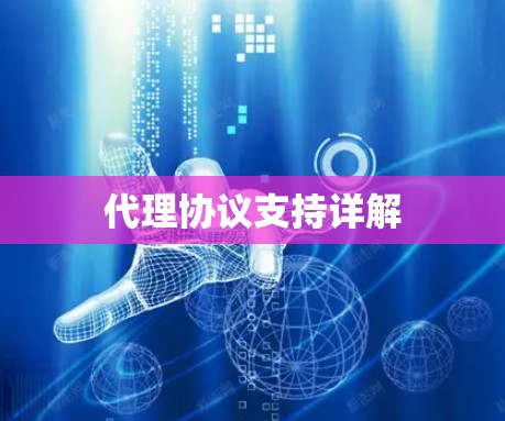 代理协议支持详解