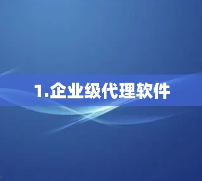 1.企业级代理软件
