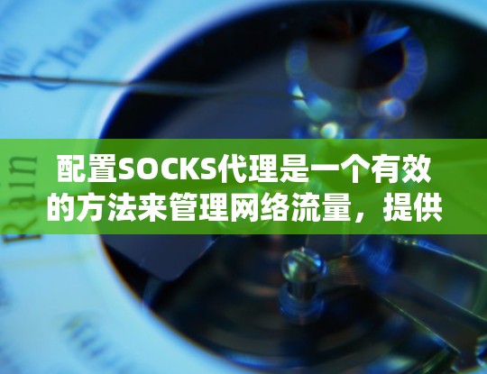 配置SOCKS代理是一个有效的方法来管理网络流量，提供匿名性或绕过限制。以下是详细的步骤指南