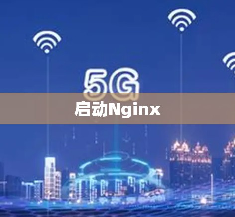 启动Nginx