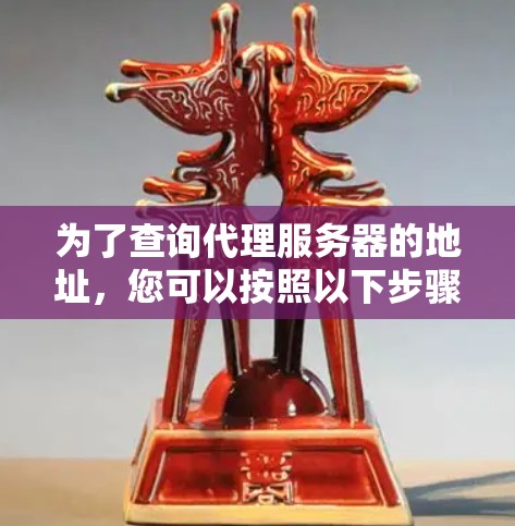 为了查询代理服务器的地址，您可以按照以下步骤操作