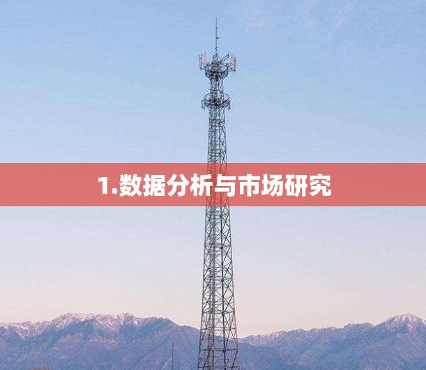 1.数据分析与市场研究 1.数据分析与市场研究
