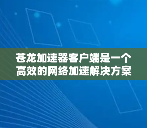 苍龙加速器客户端是一个高效的网络加速解决方案，旨在帮助用户快速访问远程服务器、云服务和VPN资源。以下是对该客户端的详细分析和总结