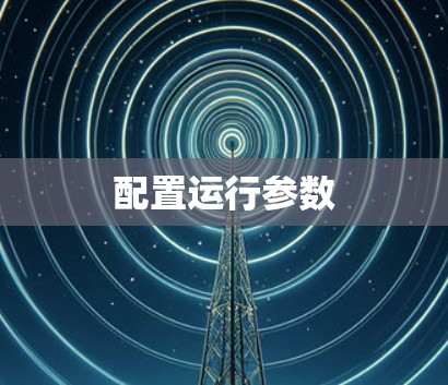 配置运行参数 配置运行参数