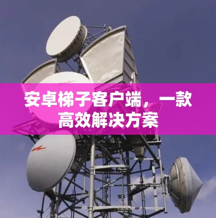 安卓梯子客户端,一款高效解决方案 安卓梯子客户端,一款高效解决方案
