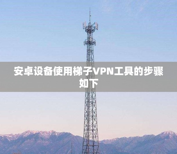安卓设备使用梯子VPN工具的步骤如下