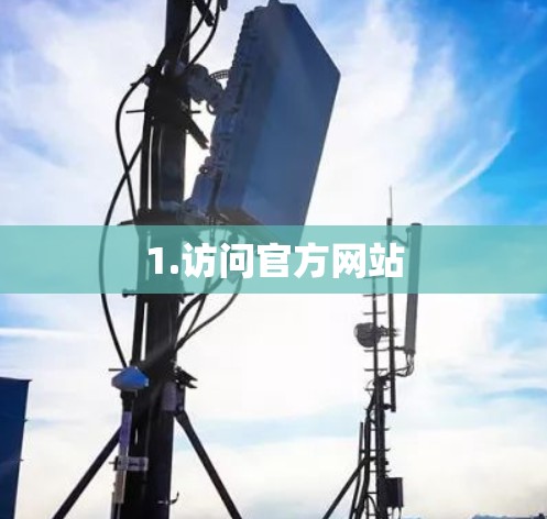 1.访问官方网站