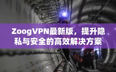 ZoogVPN最新版,提升隐私与安全的高效解决方案 ZoogVPN最新版,提升隐私与安全的高效解决方案