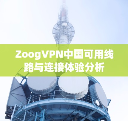 ZoogVPN中国可用线路与连接体验分析 ZoogVPN中国可用线路与连接体验分析