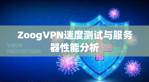 ZoogVPN速度测试与服务器性能分析