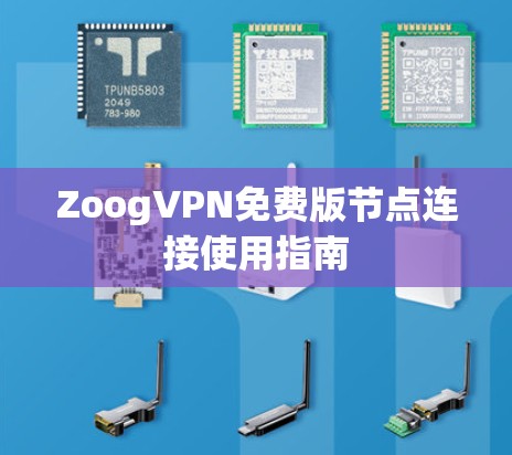 ZoogVPN免费版节点连接使用指南