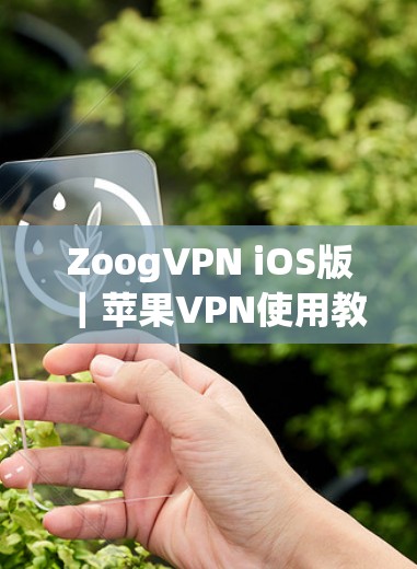 ZoogVPN iOS版|苹果VPN使用教程 ZoogVPN iOS版|苹果VPN使用教程