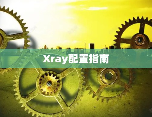 Xray配置指南 Xray配置指南