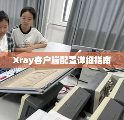 Xray客户端配置详细指南 Xray客户端配置详细指南