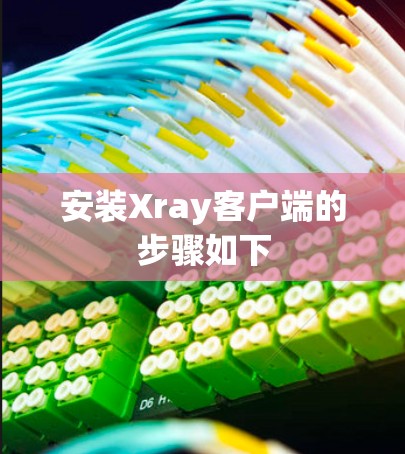 安装Xray客户端的步骤如下 安装Xray客户端的步骤如下