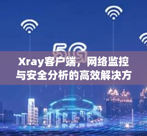 Xray客户端,网络监控与安全分析的高效解决方案 Xray客户端,网络监控与安全分析的高效解决方案