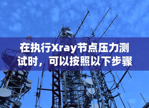 在执行Xray节点压力测试时,可以按照以下步骤进行详细操作 在执行Xray节点压力测试时,可以按照以下步骤进行详细操作