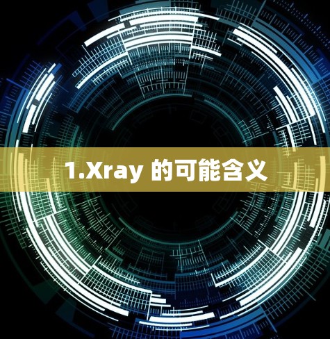 1.Xray 的可能含义 1.Xray 的可能含义
