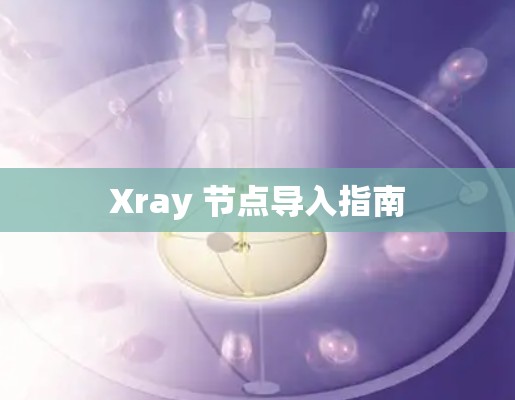 Xray 节点导入指南 Xray 节点导入指南