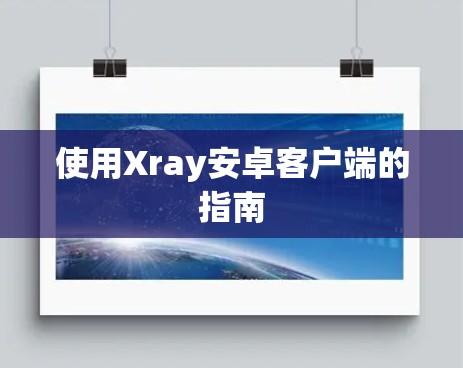 使用Xray安卓客户端的指南 使用Xray安卓客户端的指南