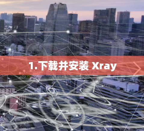 1.下载并安装 Xray