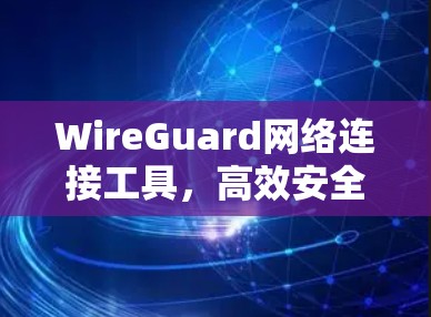 WireGuard网络连接工具，高效安全的未来网络解决方案