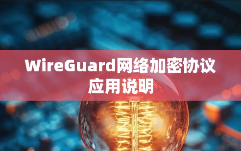 WireGuard网络加密协议应用说明 WireGuard网络加密协议应用说明