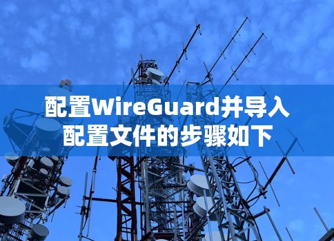 配置WireGuard并导入配置文件的步骤如下 配置WireGuard并导入配置文件的步骤如下