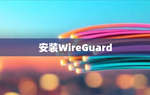 安装WireGuard 安装WireGuard