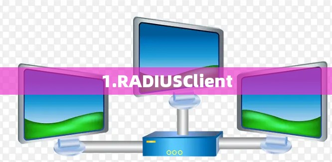 1.RADIUSClient 1.RADIUSClient