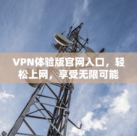 VPN体验版官网入口，轻松上网，享受无限可能