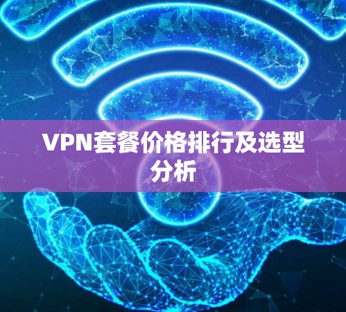 VPN套餐价格排行及选型分析