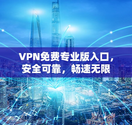 VPN免费专业版入口，安全可靠，畅速无限