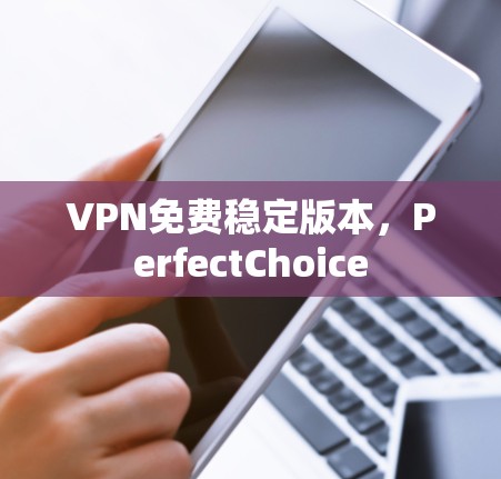 VPN免费稳定版本，PerfectChoice