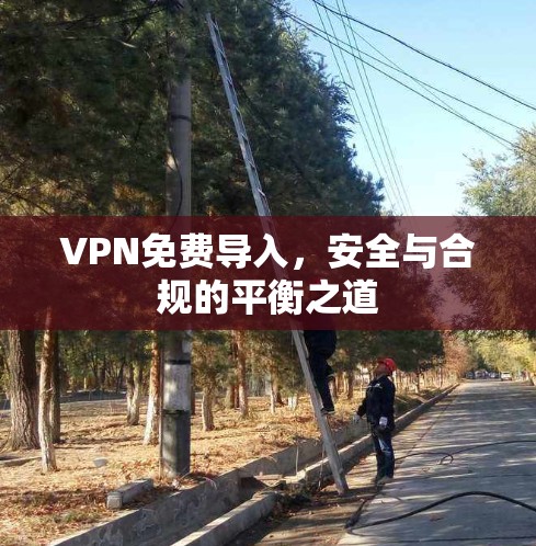 VPN免费导入,安全与合规的平衡之道